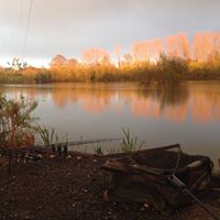Stour Valley Fishing Complex